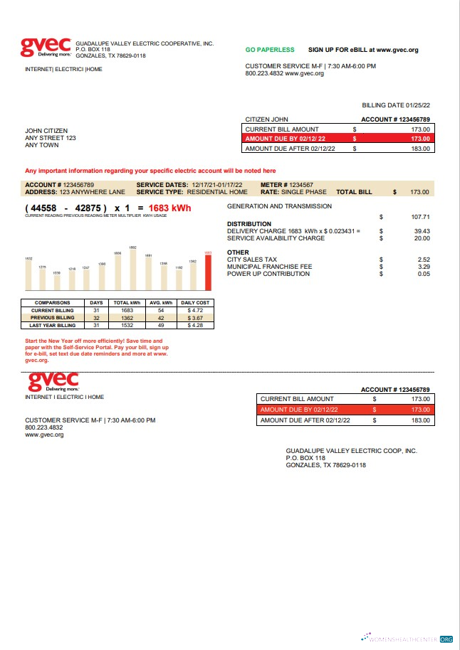 download download USA Texas GVEC utility bill template in Word and PDF format PDF template PDF template